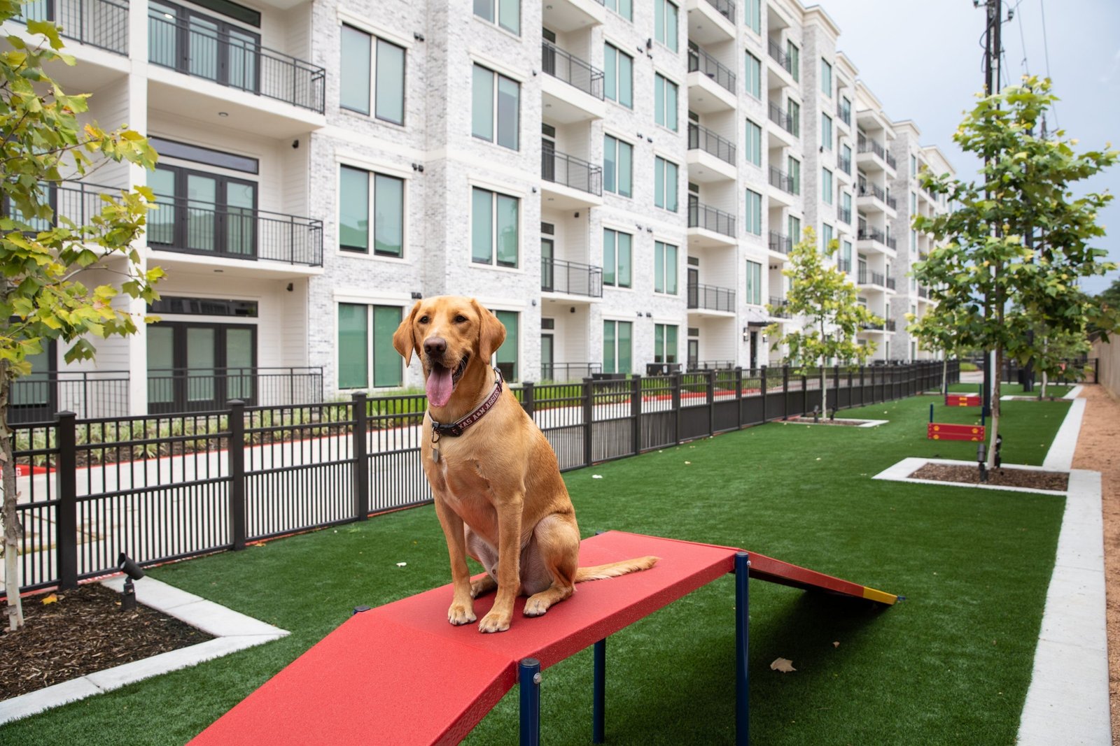 Pet Park